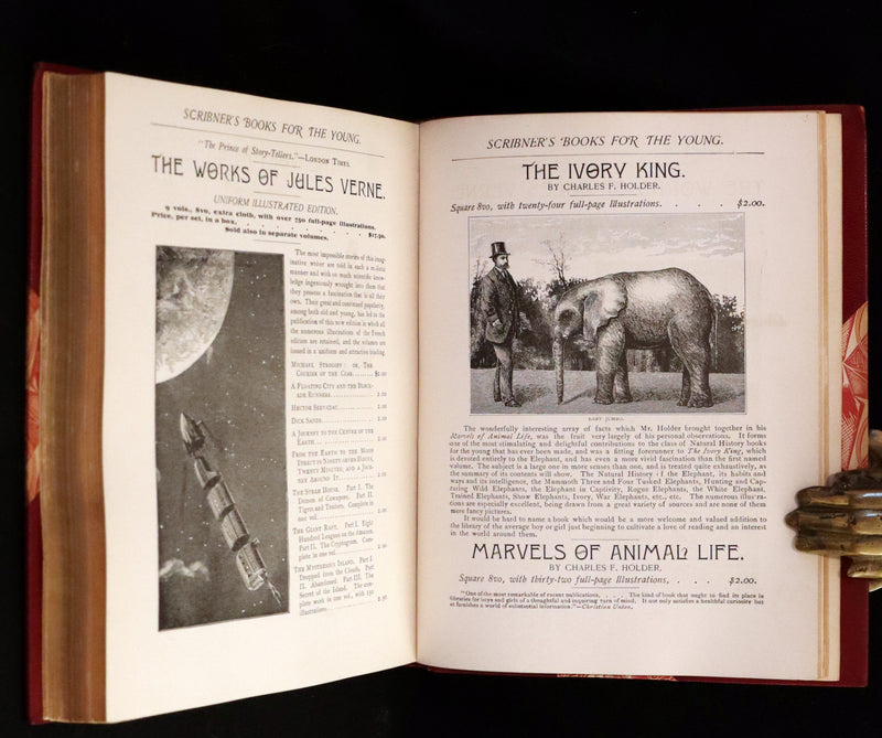 1886 Rare First Edition in a beautiful binding - Little Lord Fauntleroy by Frances Hodgson Burnett. Illustrated.