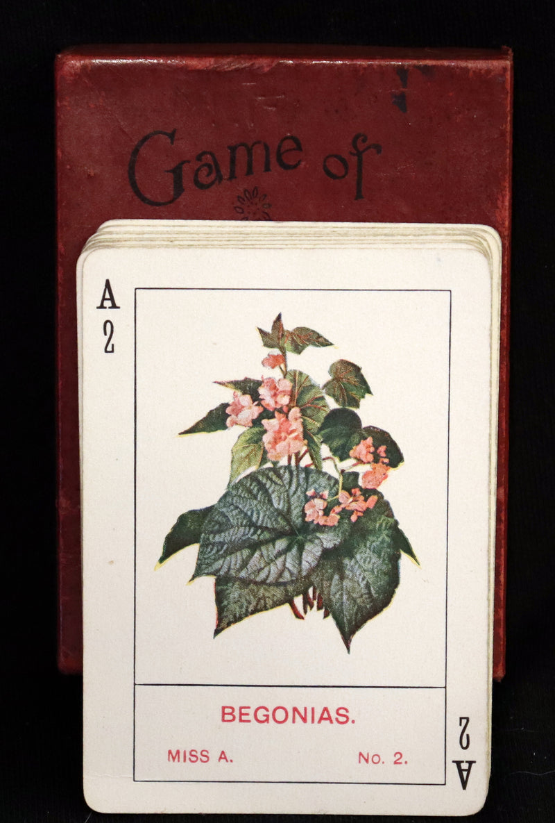 1905 Rare Card Games - The GAME OF FLOWERS  No, 1126 published by The U.S. Playing Card Co. In his Box.