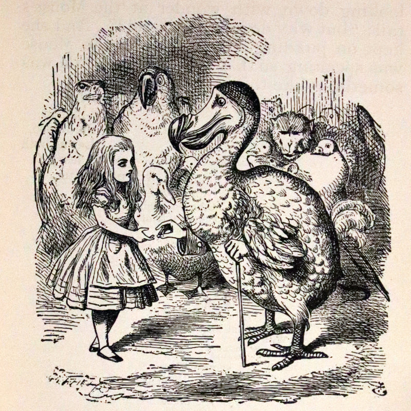 1895 Rare Altemus Edition - Alice's Adventures in Wonderland by Lewis Carroll.