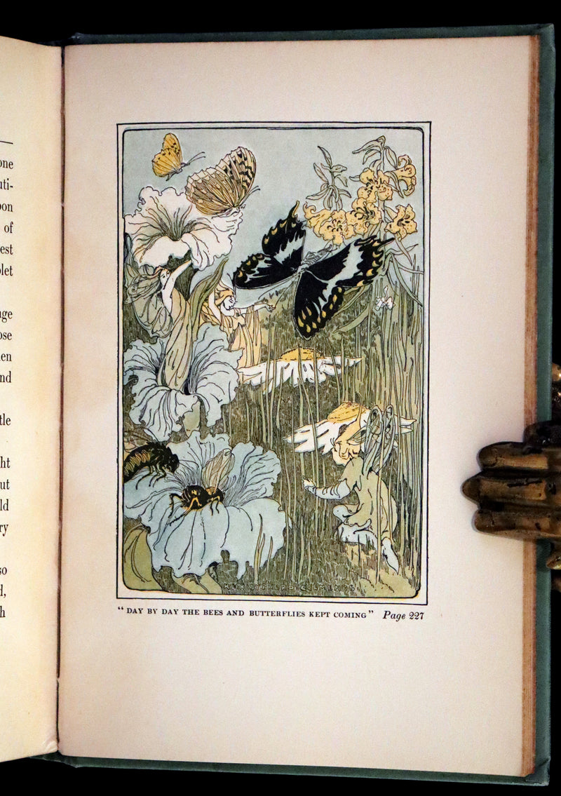1909 Scarce First Edition - Overheard in Fairyland by Madge A. Bigham Illustrated by Ruth Sypherd Clements.