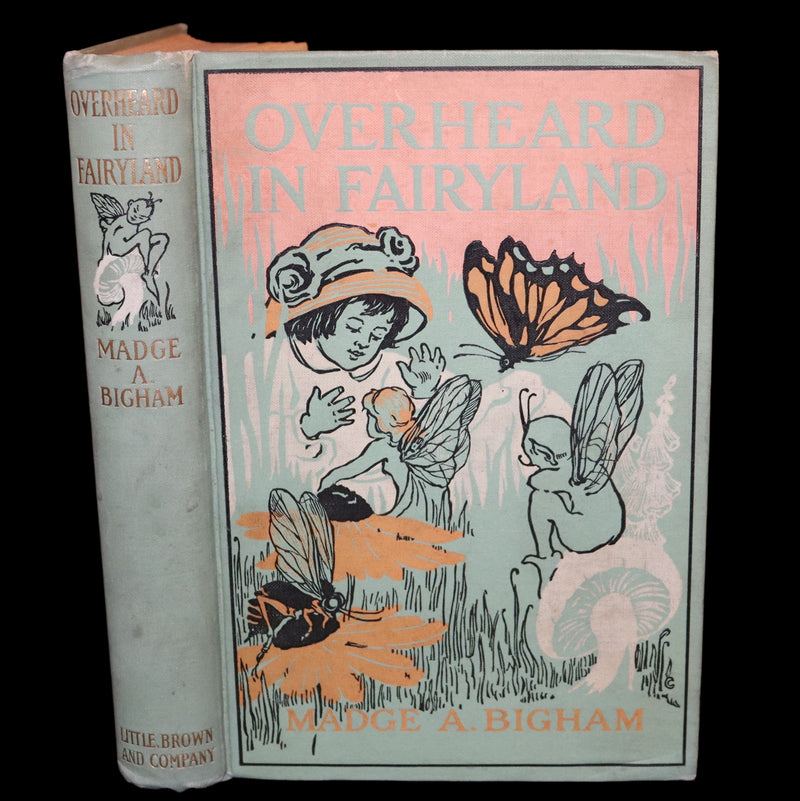 1909 Scarce First Edition - Overheard in Fairyland by Madge A. Bigham Illustrated by Ruth Sypherd Clements.