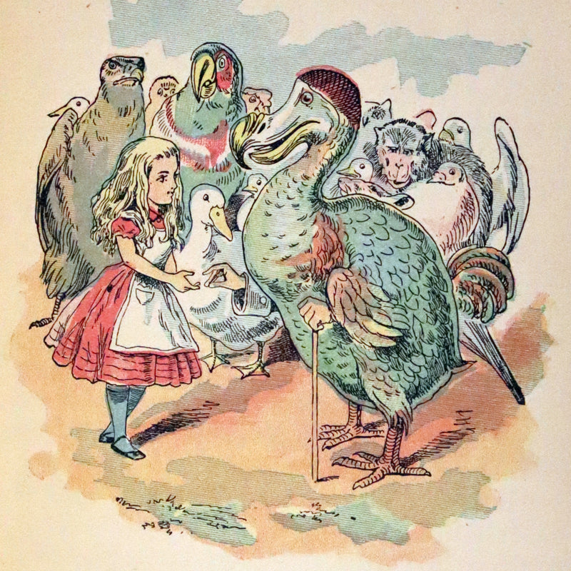 1899 Scarce McKibbin First Color Edition - ALICE'S ADVENTURES IN WONDERLAND by Lewis Carroll.