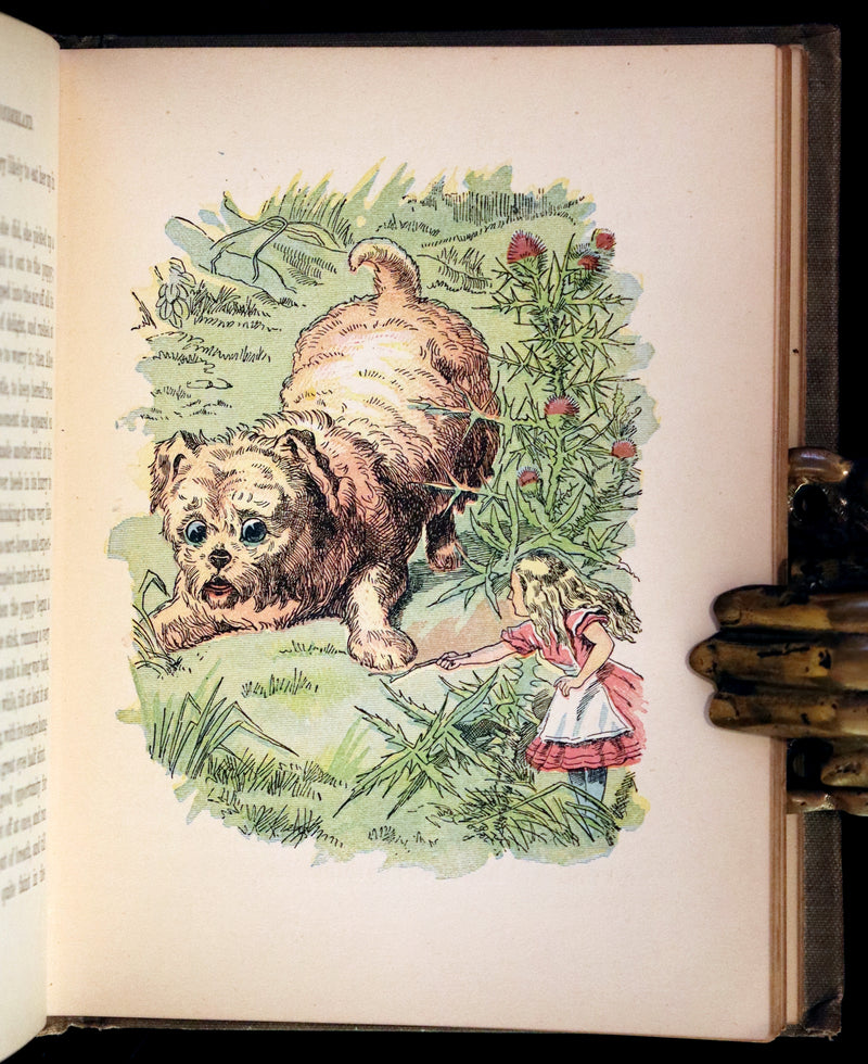 1899 Scarce McKibbin First Color Edition - ALICE'S ADVENTURES IN WONDERLAND by Lewis Carroll.