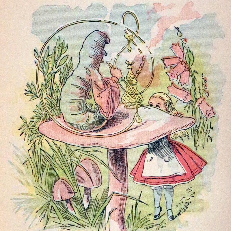 1899 Scarce McKibbin First Color Edition - ALICE'S ADVENTURES IN WONDERLAND by Lewis Carroll.