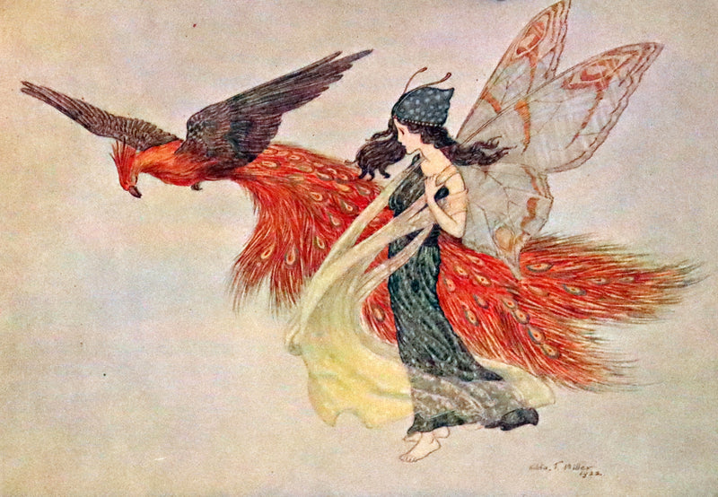 1923 Rare First Edition - The Rose Fyleman Fairy Book Illustrated by Hilda T. Miller.