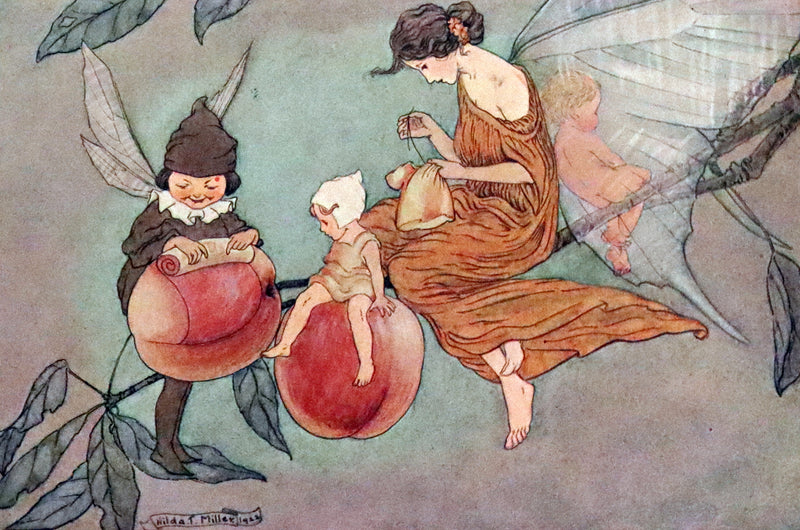 1923 Rare First Edition - The Rose Fyleman Fairy Book Illustrated by Hilda T. Miller.