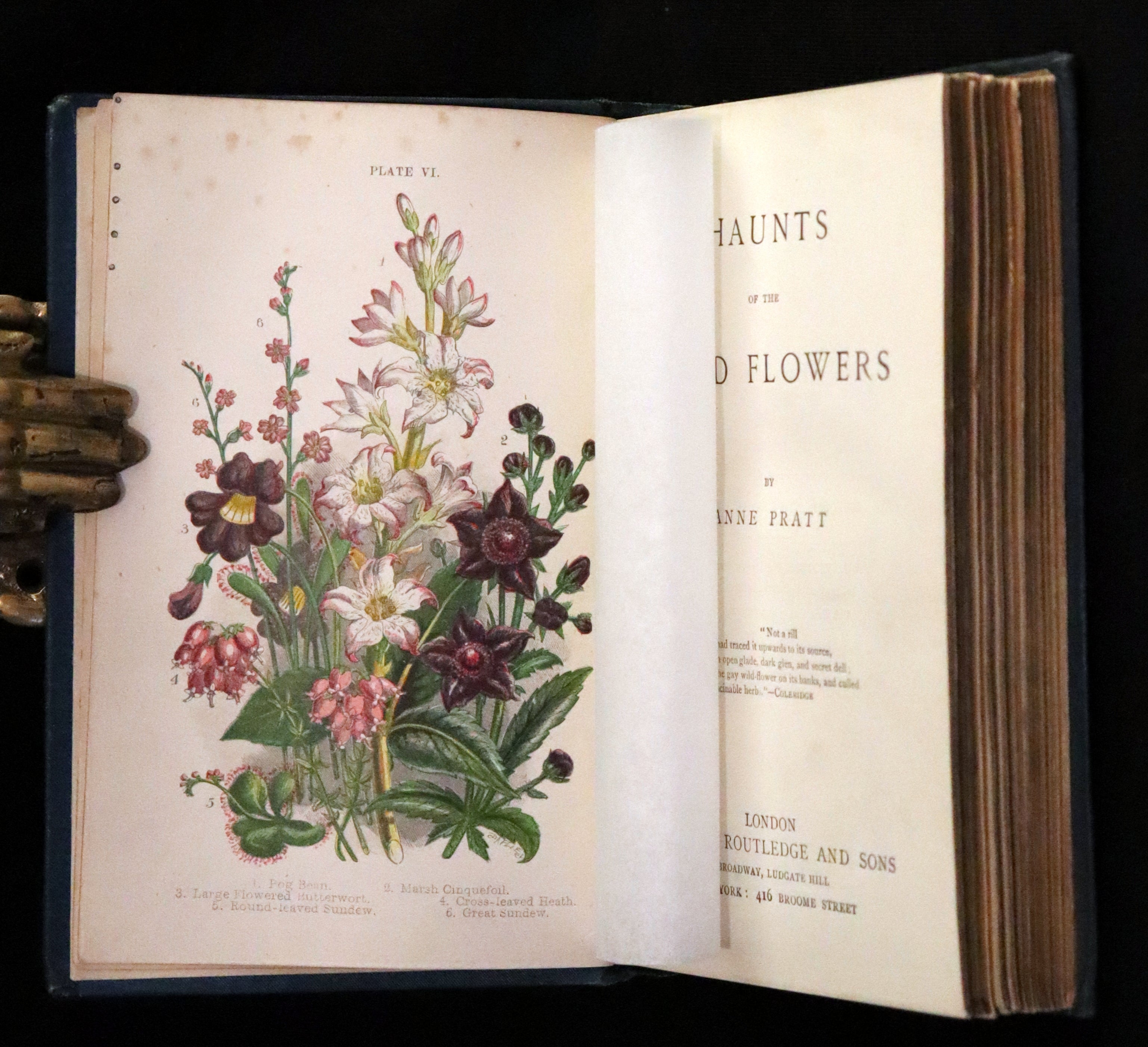 1880 Rare Book ~ Haunts of the Wild Flowers with 8 coloured plates