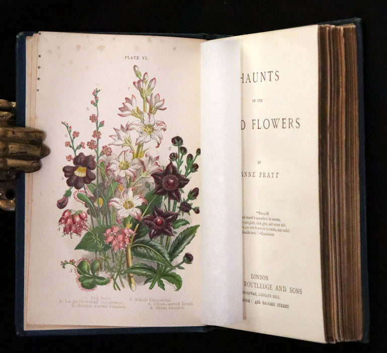 1880 Rare Book ~ Haunts of the Wild Flowers with 8 coloured plates by Anne Pratt.