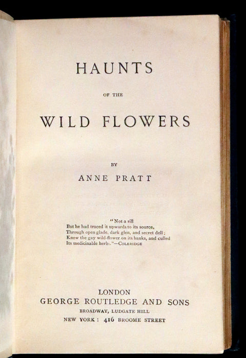 1880 Rare Book ~ Haunts of the Wild Flowers with 8 coloured plates by Anne Pratt.