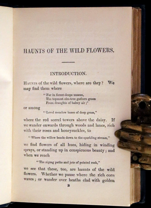 1880 Rare Book ~ Haunts of the Wild Flowers with 8 coloured plates by Anne Pratt.