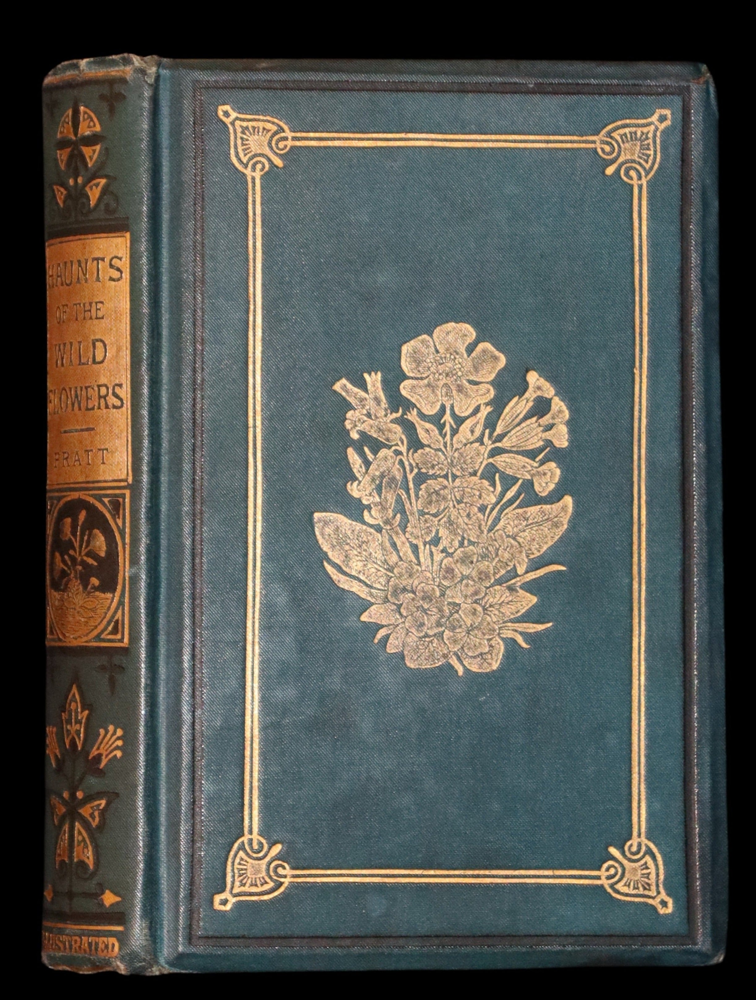 1880 Rare Book ~ Haunts of the Wild Flowers with 8 coloured plates