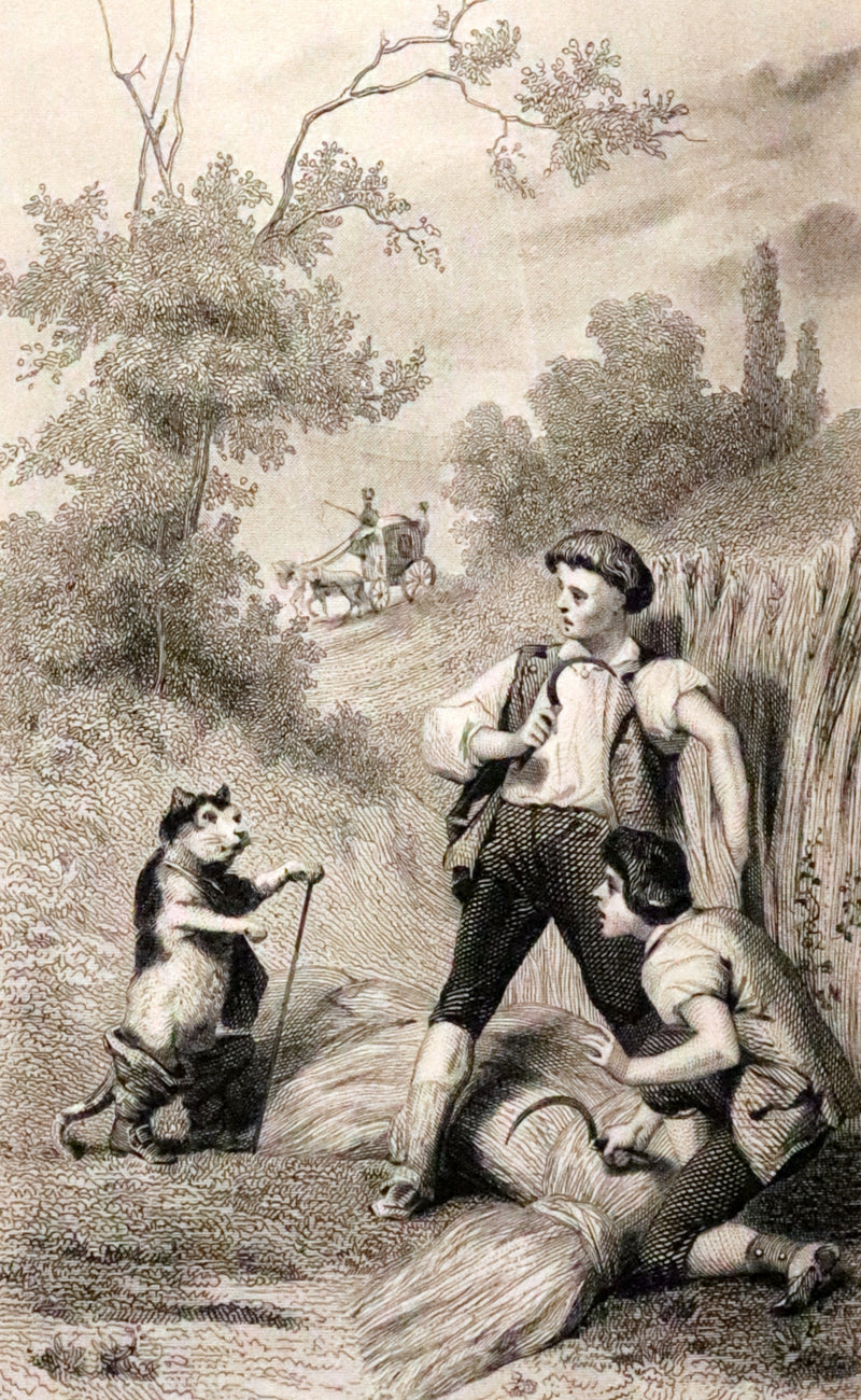 1890 Rare illustrated French Book ~ Contes de Perrault - Fairy Tales.