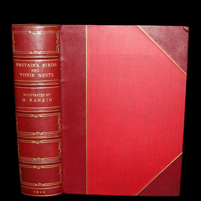 1910 Rare Ornithology First Edition in a Morrell binding ~ Britain's Birds and Their Nests Illustrated by George Rankin.