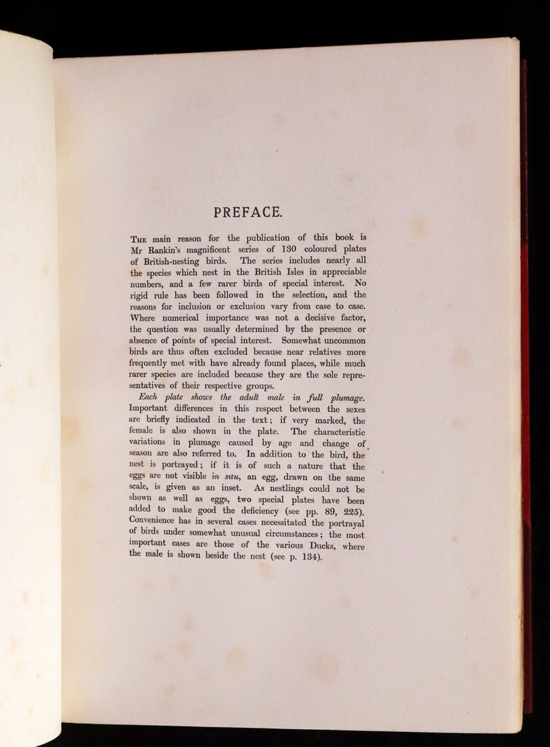1910 Rare Ornithology First Edition in a Morrell binding ~ Britain's Birds and Their Nests Illustrated by George Rankin.