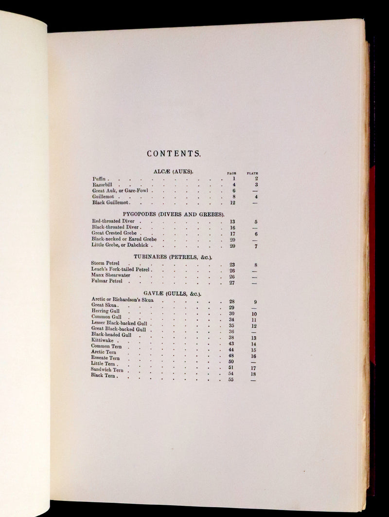 1910 Rare Ornithology First Edition in a Morrell binding ~ Britain's Birds and Their Nests Illustrated by George Rankin.