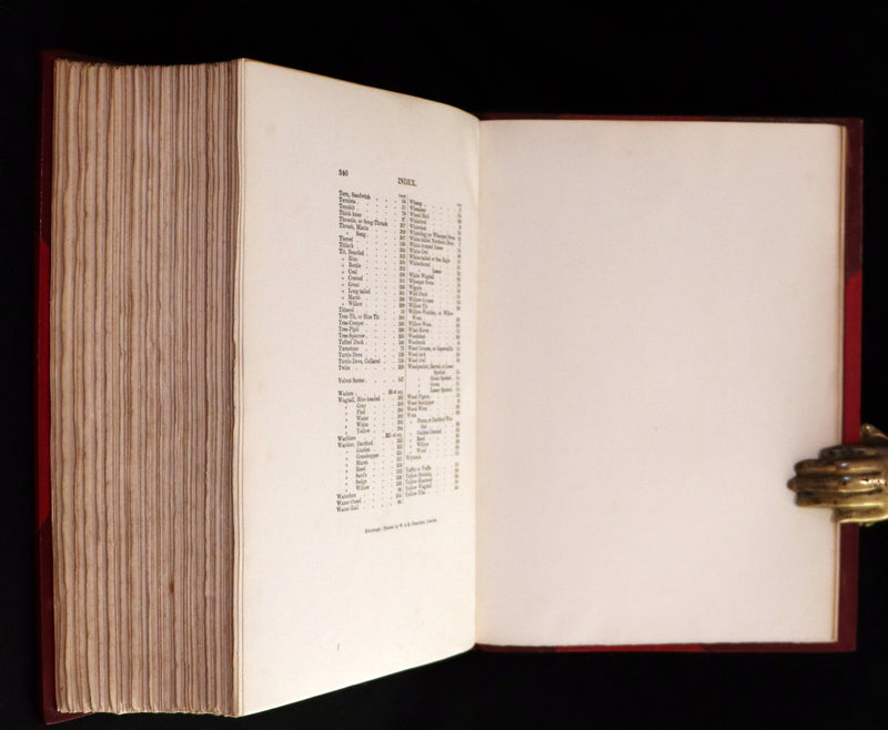 1910 Rare Ornithology First Edition in a Morrell binding ~ Britain's Birds and Their Nests Illustrated by George Rankin.