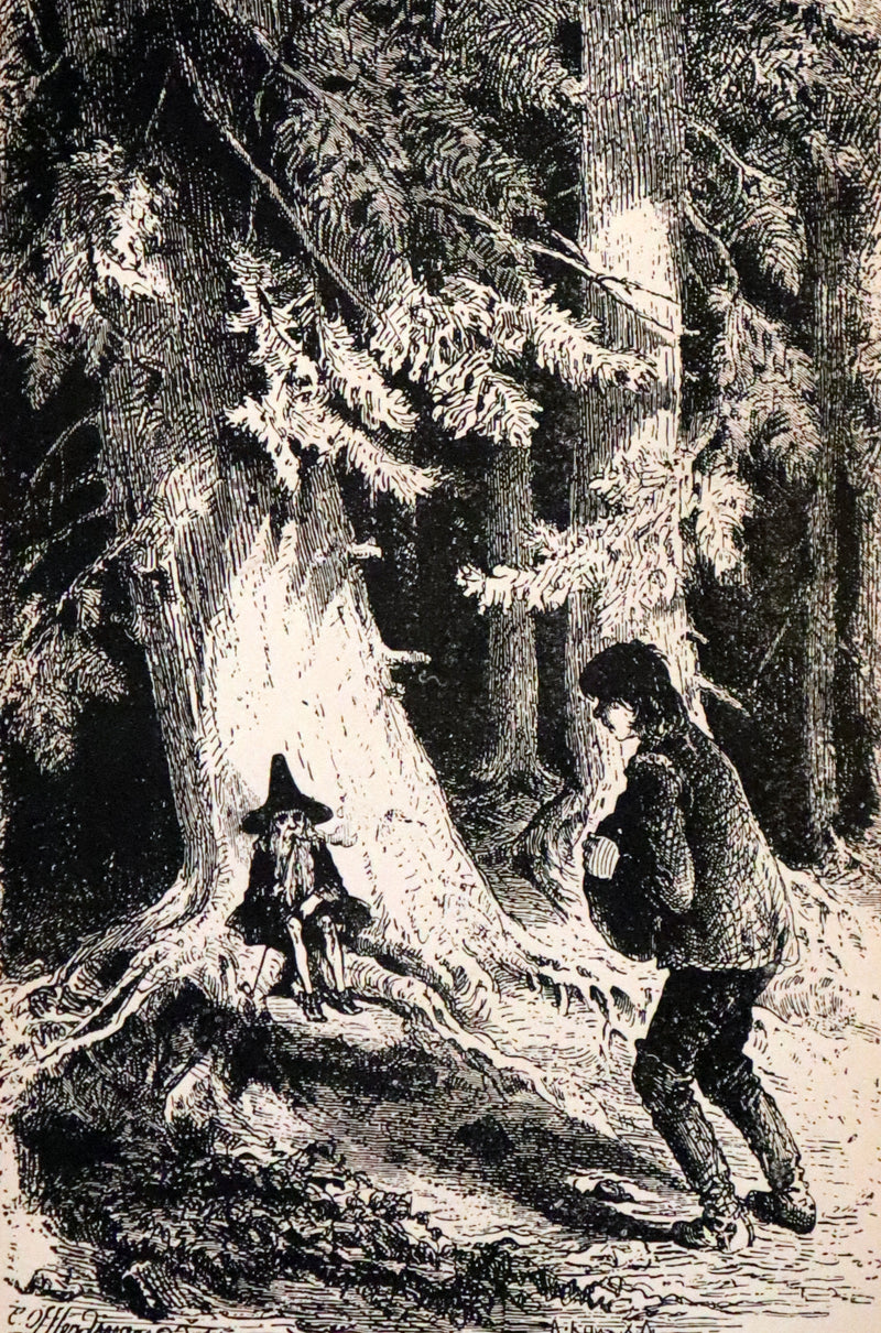 1890 Rare Book - William HAUFF's Longnose the Dwarf and Other Fairy Tales. Illustrated.