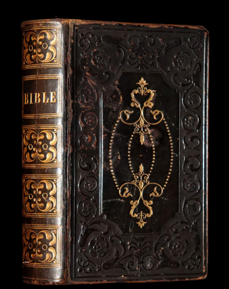 1843 Beautiful Binding - The Polyglott BIBLE, Containing the Old and New Testaments. (Bound with) 1837 Psalms of David, in metre.
