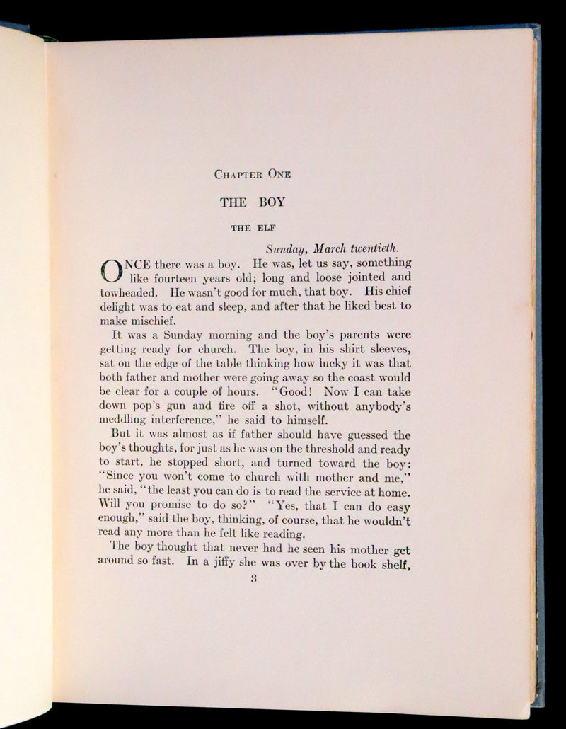 1911 Rare First illustrated Edition by Mary Hamilton Frye - THE WONDERFUL ADVENTURES OF NILS by Selma Lagerlof.