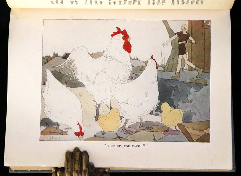 1911 Rare First illustrated Edition by Mary Hamilton Frye - THE WONDERFUL ADVENTURES OF NILS by Selma Lagerlof.