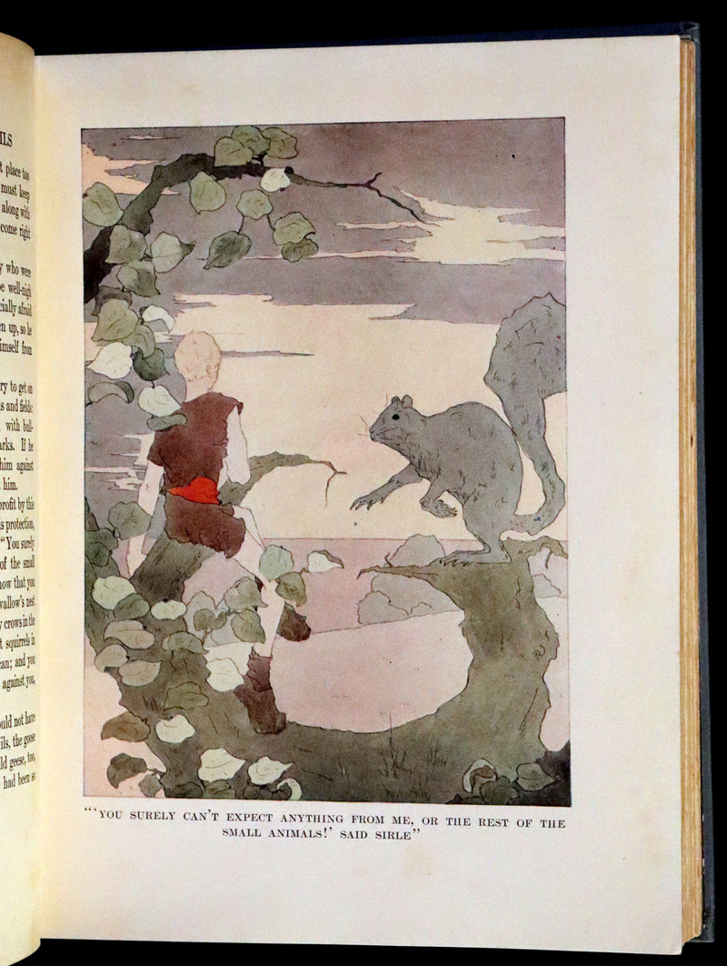 1911 Rare First illustrated Edition by Mary Hamilton Frye - THE WONDERFUL ADVENTURES OF NILS by Selma Lagerlof.