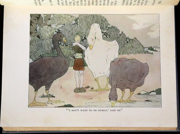 1911 Rare First illustrated Edition by Mary Hamilton Frye - THE WONDERFUL ADVENTURES OF NILS by Selma Lagerlof.