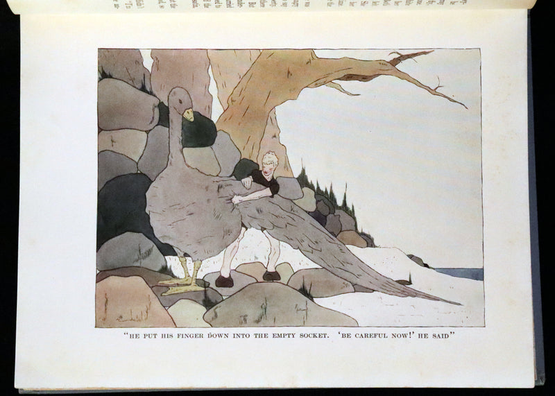 1911 Rare First illustrated Edition by Mary Hamilton Frye - THE WONDERFUL ADVENTURES OF NILS by Selma Lagerlof.