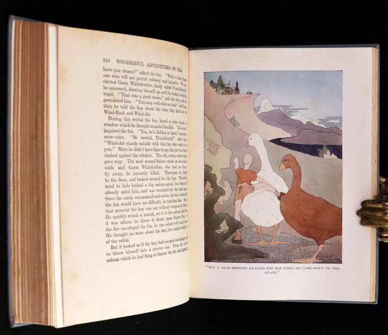 1911 Rare First illustrated Edition by Mary Hamilton Frye - THE WONDERFUL ADVENTURES OF NILS by Selma Lagerlof.