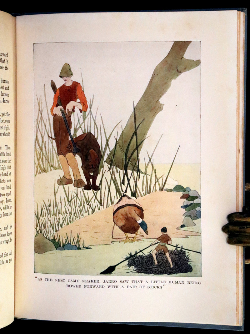 1911 Rare First illustrated Edition by Mary Hamilton Frye - THE WONDERFUL ADVENTURES OF NILS by Selma Lagerlof.