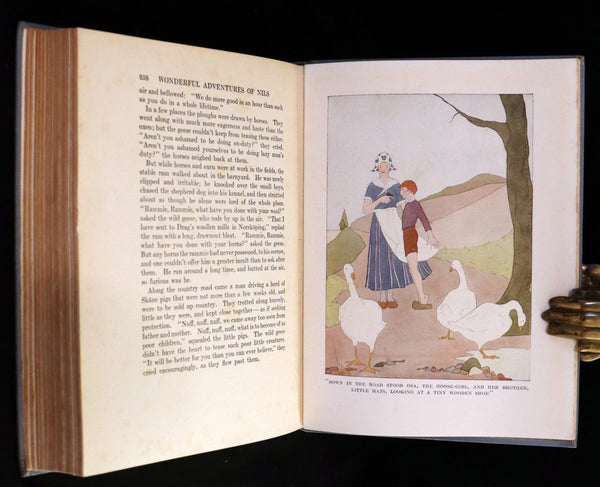 1911 Rare First illustrated Edition by Mary Hamilton Frye - THE WONDERFUL ADVENTURES OF NILS by Selma Lagerlof.