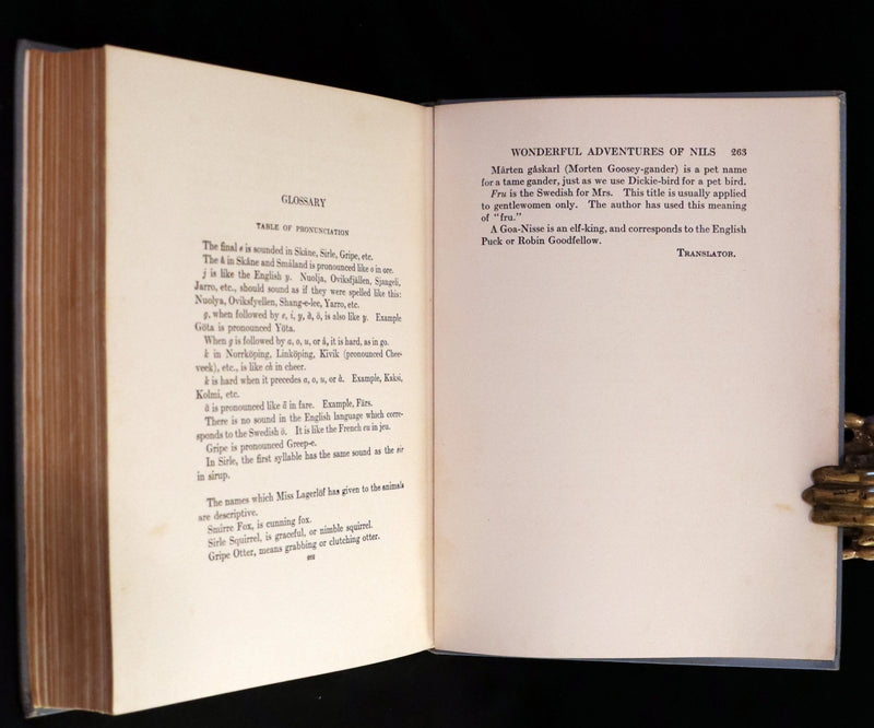 1911 Rare First illustrated Edition by Mary Hamilton Frye - THE WONDERFUL ADVENTURES OF NILS by Selma Lagerlof.