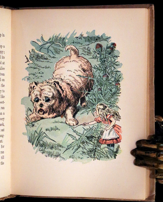 1899 Scarce McKibbin First Color Edition - ALICE'S ADVENTURES IN WONDERLAND by Lewis Carroll.