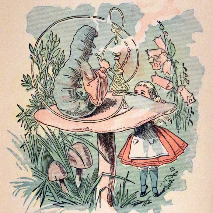 1899 Scarce McKibbin First Color Edition - ALICE'S ADVENTURES IN WONDERLAND by Lewis Carroll.