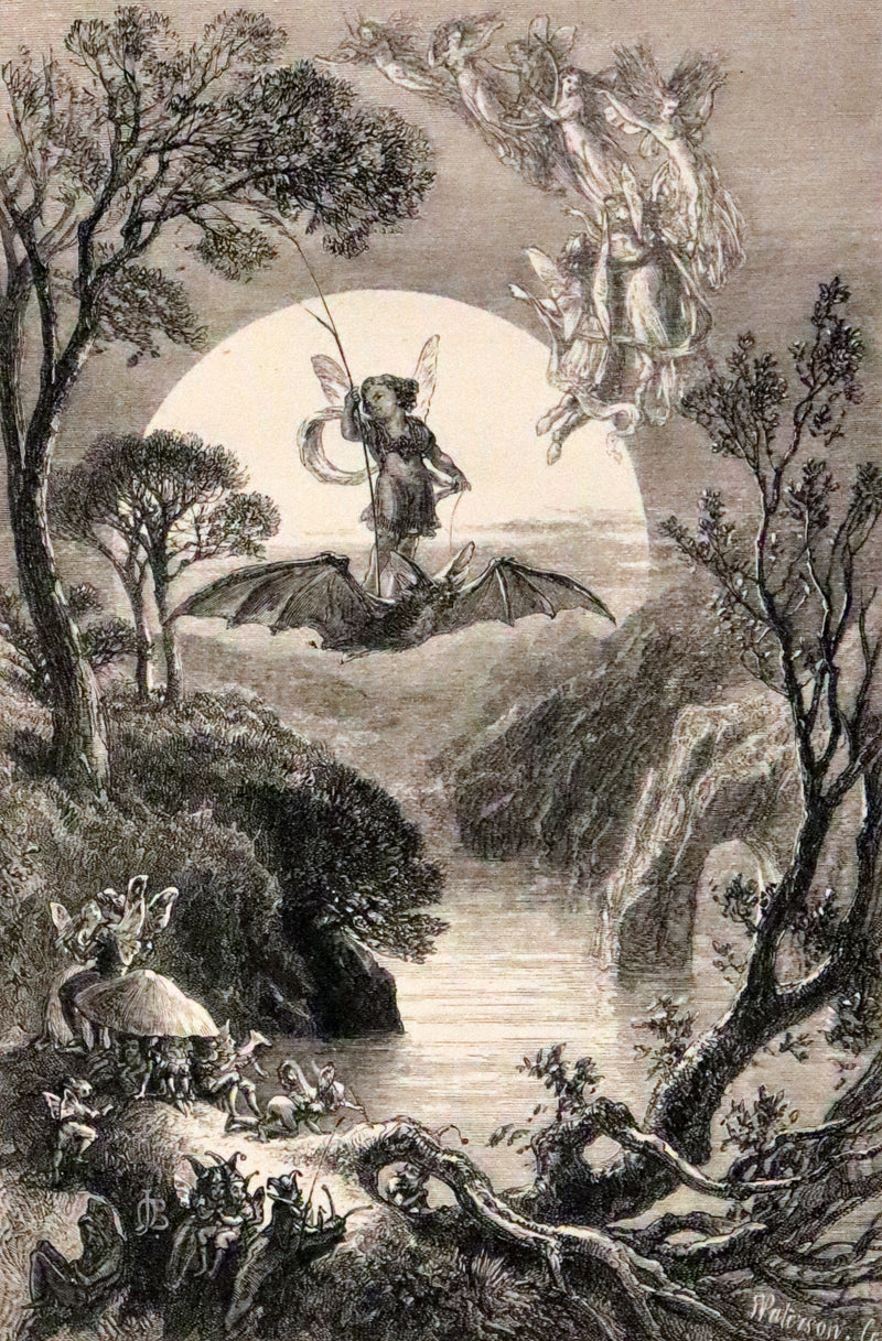 1869 Scarce Victorian Book - The Poetical Works of Edgar Allan Poe. Edinburgh Illustrated Edition.