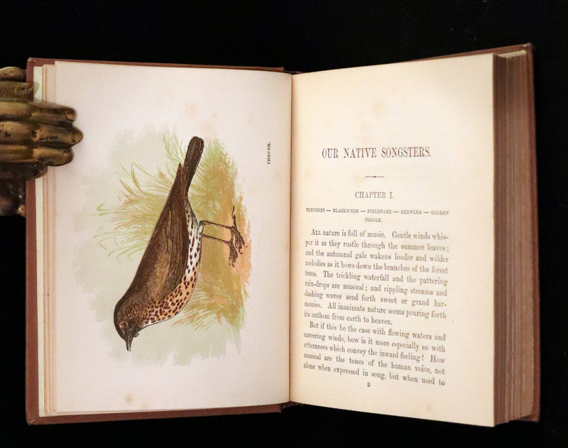 1894 Rare Ornithology Book ~ Our Native Songsters with 72 coloured plates by Anne Pratt.