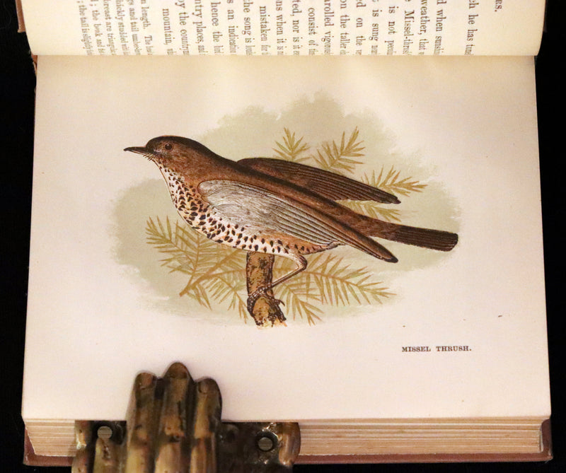 1894 Rare Ornithology Book ~ Our Native Songsters with 72 coloured plates by Anne Pratt.