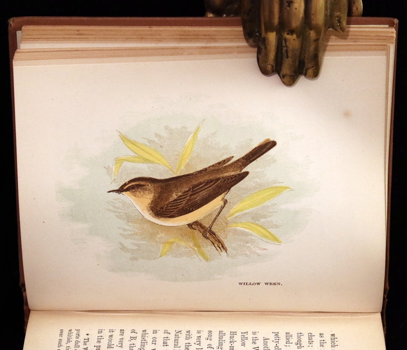 1894 Rare Ornithology Book ~ Our Native Songsters with 72 coloured plates by Anne Pratt.