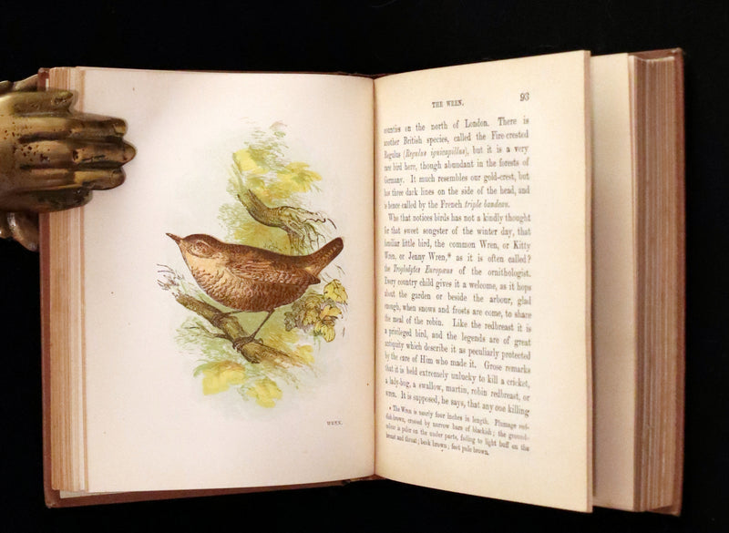 1894 Rare Ornithology Book ~ Our Native Songsters with 72 coloured plates by Anne Pratt.