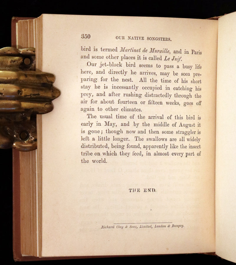 1894 Rare Ornithology Book ~ Our Native Songsters with 72 coloured plates by Anne Pratt.