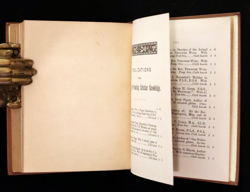 1894 Rare Ornithology Book ~ Our Native Songsters with 72 coloured plates by Anne Pratt.