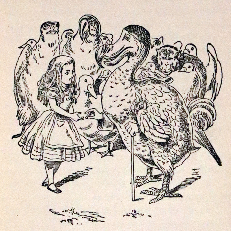 1911 Scarce Edition - Alice's Adventures in Wonderland (McKay's Young people's classics).