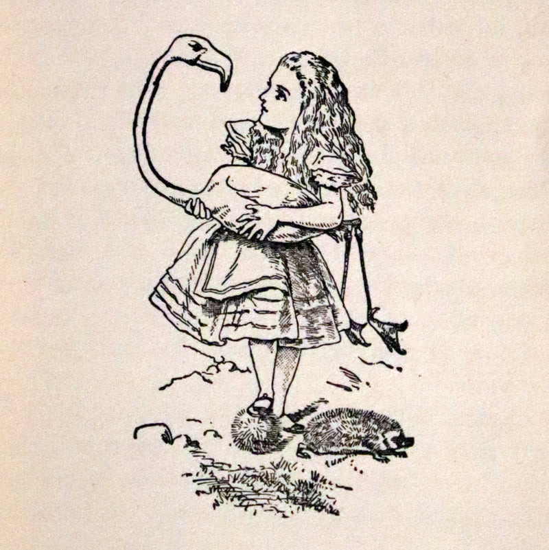 1911 Scarce Edition - Alice's Adventures in Wonderland (McKay's Young people's classics).