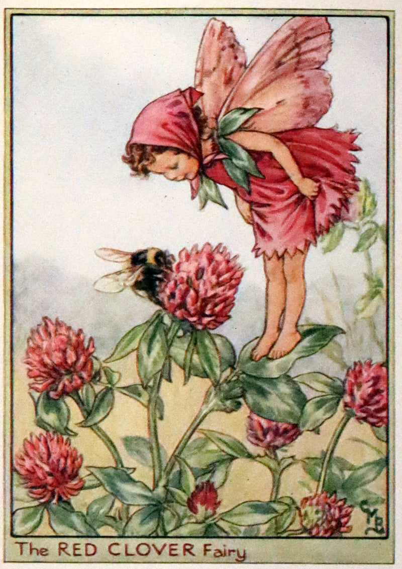 1950 Rare Cicely Mary Barker Book - FAIRIES OF THE FLOWERS AND TREES. First Edition.