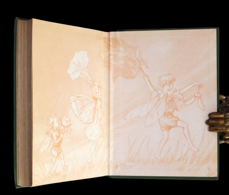 1950 Rare Cicely Mary Barker Book - FAIRIES OF THE FLOWERS AND TREES. First Edition.