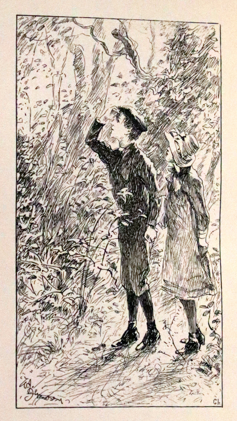1892 Scarce First Edition - AN ENCHANTED GARDEN, Fairy Stories by Mary Louisa Molesworth illustrated by William John Hennessy.