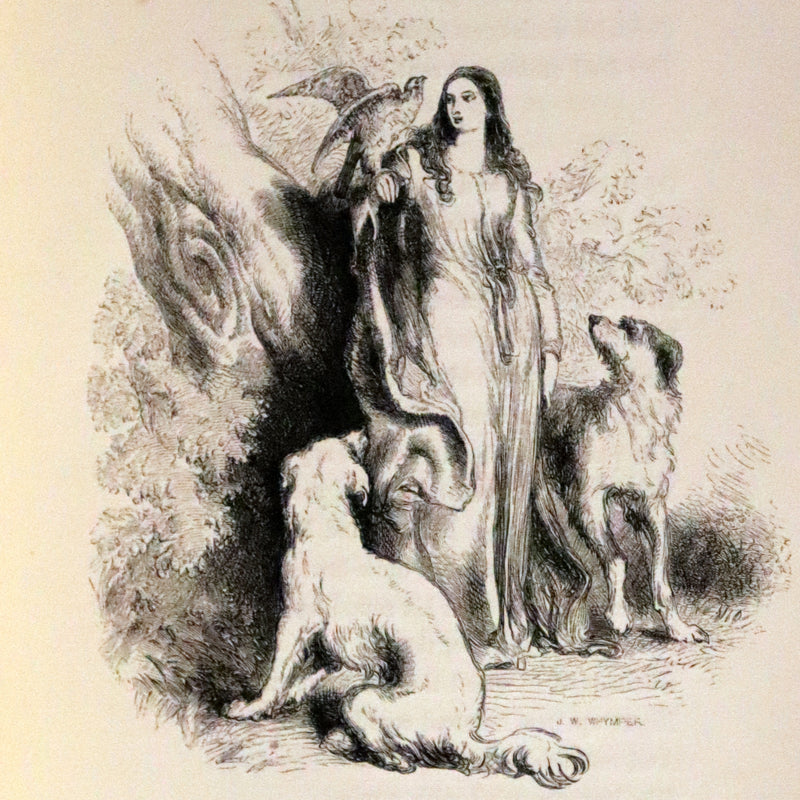 1853 Rare Book ~ Lady of the Lake by Sir Walter Scott, Illustrated by Birket Foster and John Gilbert.