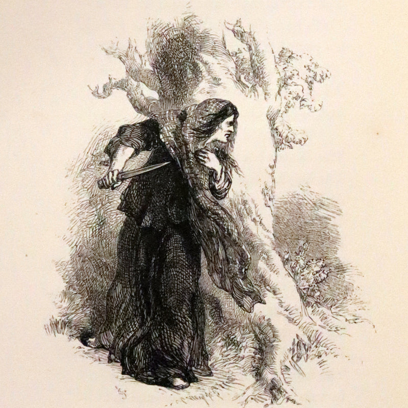 1853 Rare Book ~ Lady of the Lake by Sir Walter Scott, Illustrated by Birket Foster and John Gilbert.