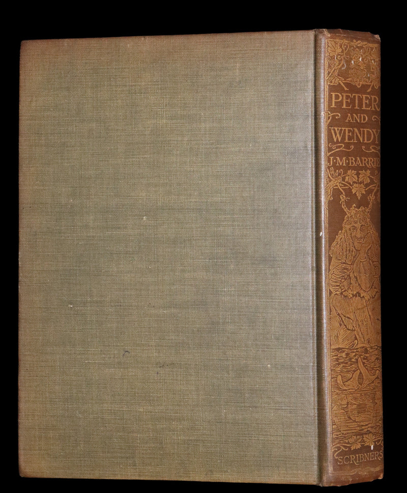 1911 Rare PETER PAN First Edition - PETER and WENDY by J.M. Barrie illustrated by F.D. Bedford.
