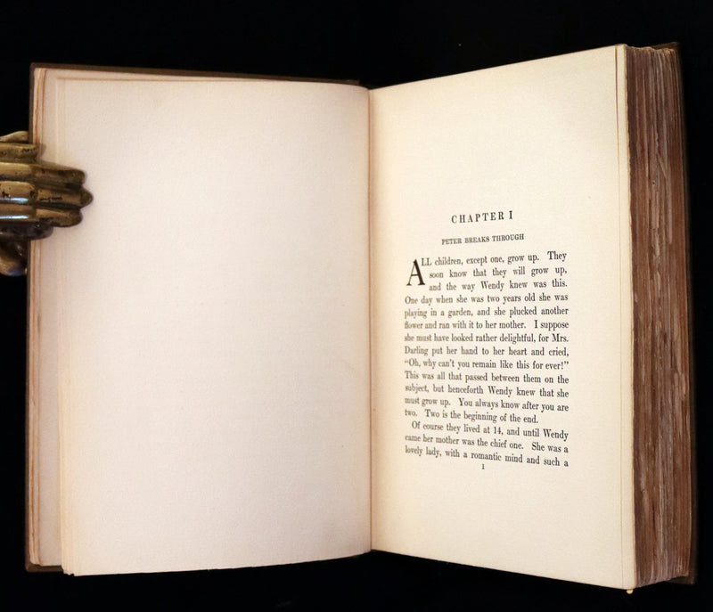 1911 Rare PETER PAN First Edition - PETER and WENDY by J.M. Barrie illustrated by F.D. Bedford.