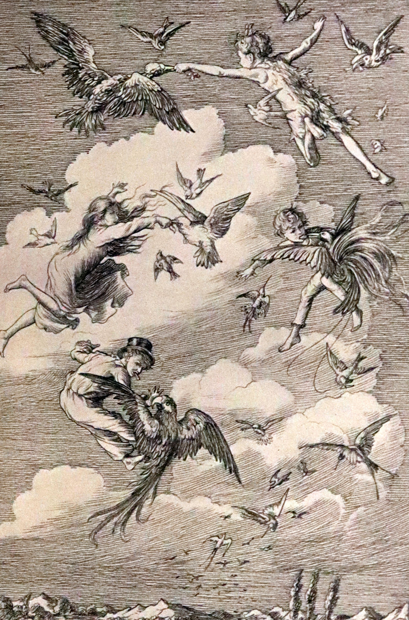 1911 Rare PETER PAN First Edition - PETER and WENDY by J.M. Barrie illustrated by F.D. Bedford.